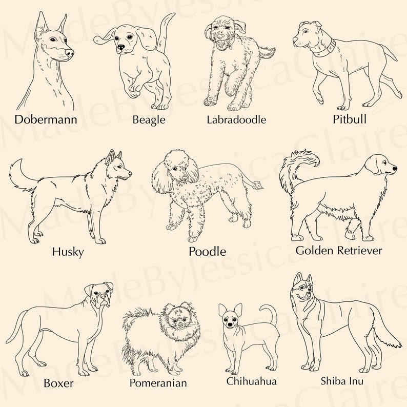 Dog Breeds SVG Bundle | 30 Pet Designs (SVG & PNG) - Etsy