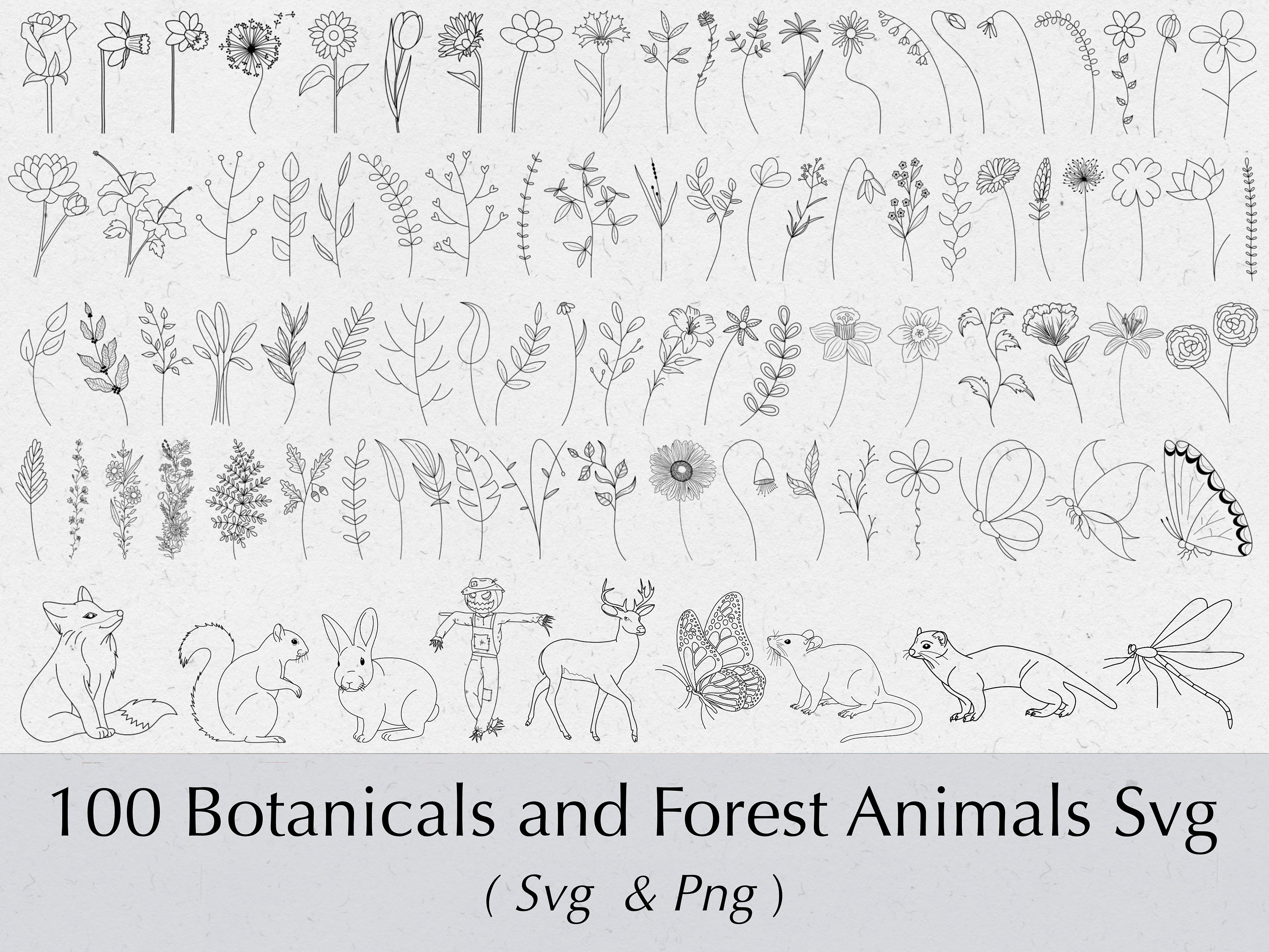 Botanical SVG Floral Svg Flowers Svg Branches Svg - Etsy Australia