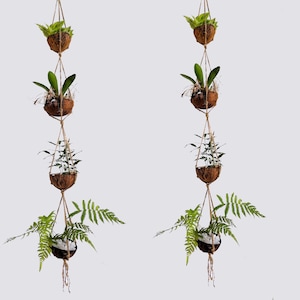 Hängende Muscheltöpfe, 4-Tier-hängender Kokosnusspflanzer, Innenhängen, Gartenhängende Töpfe