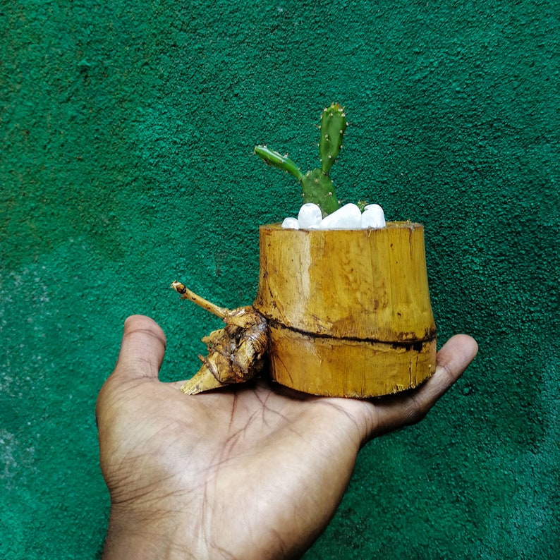 Bamboo Pot Bamboo Planter Pot Bamboo Vase Bamboo Mini Pot Etsy