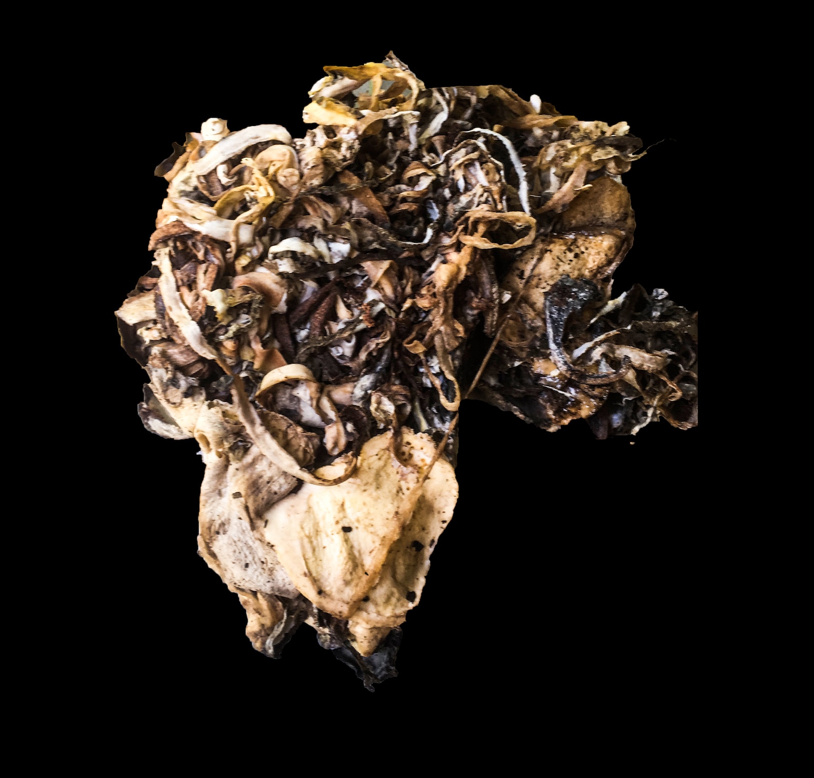 Coagulated Rubber Latex Gutta Percha Rubber Natural Etsy Singapore