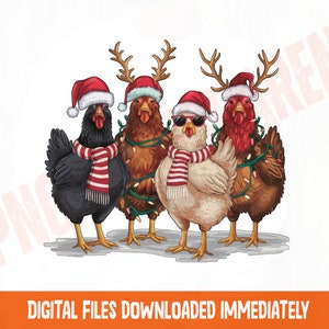 Christmas Chickens png, Holiday Chicken Design, Festive Farm Animals Sublimation, Christmas Lights Chicken, Santa Hat Chicken png