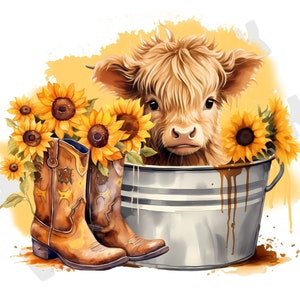 Highland cow png, Cow Sublimation, Farm Animal, Cute cow sublimation, Highland calf png, sunflower cow png, Cow Watercolor Clipart