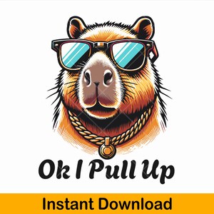 Ok I Pull Up Funny Capybara png, capybara clipart, capybara design, capybara animal png