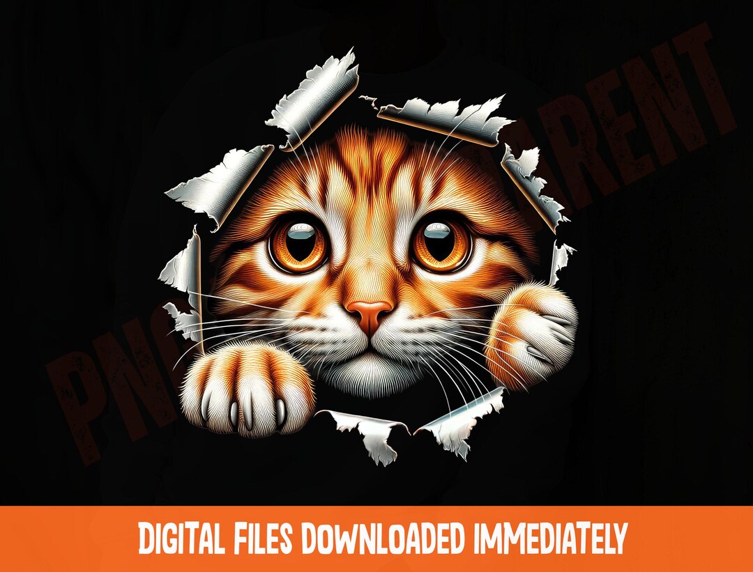 Torn Fabric Cat Png, Cute Cat Clipart, Cat Sublimation - Etsy