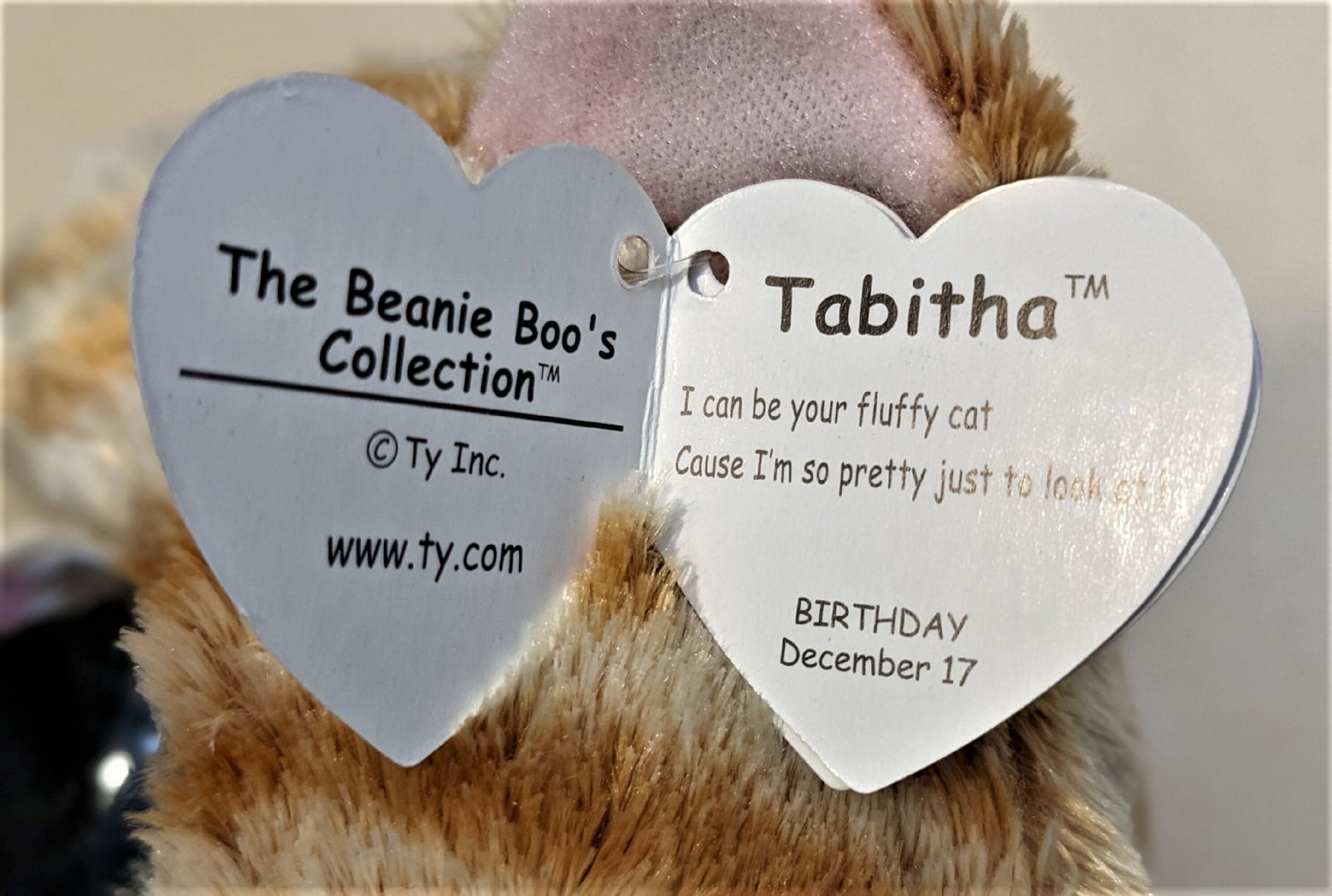 Tabitha beanie boo birthday top
