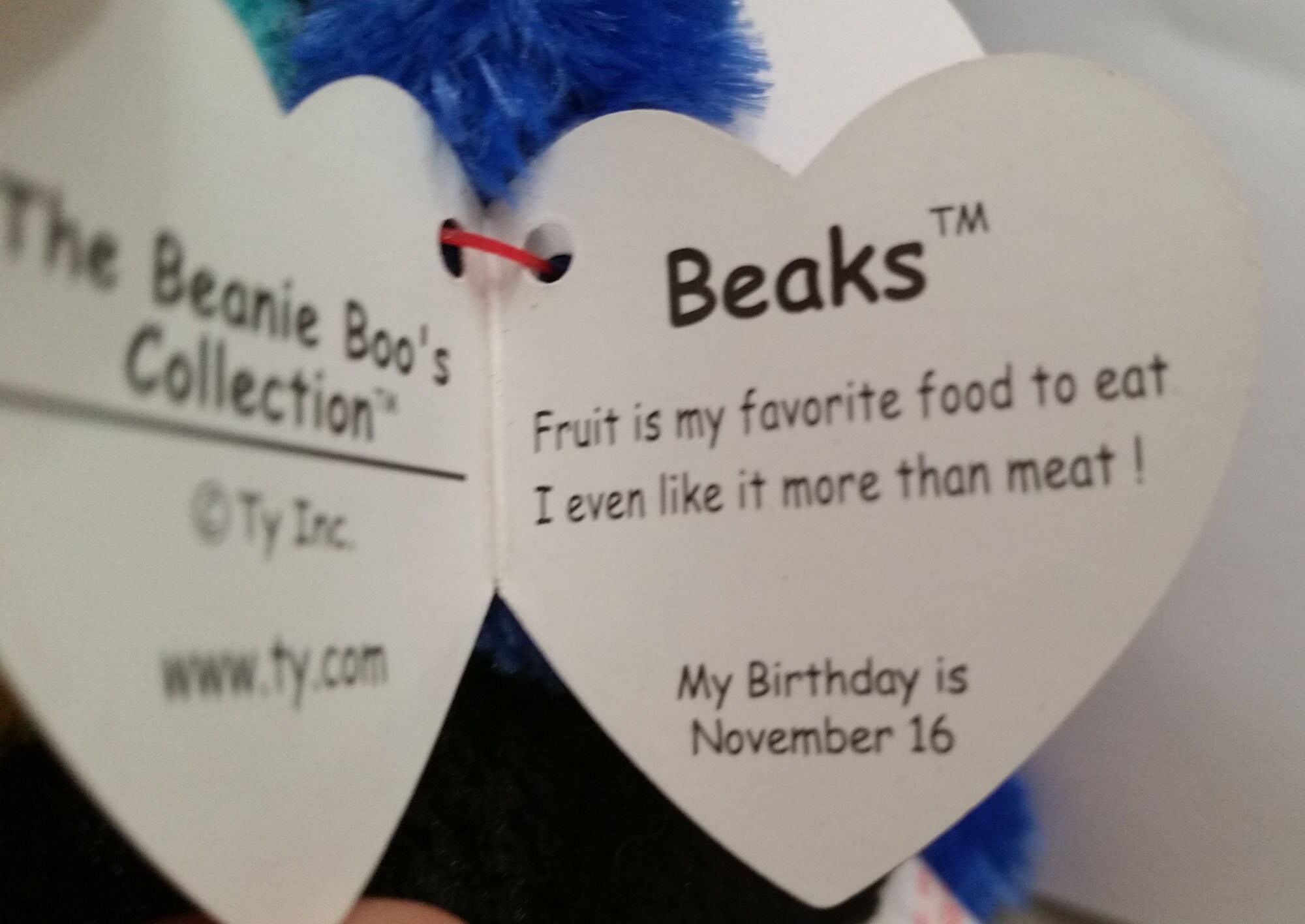 Beaks beanie boo birthday 2025