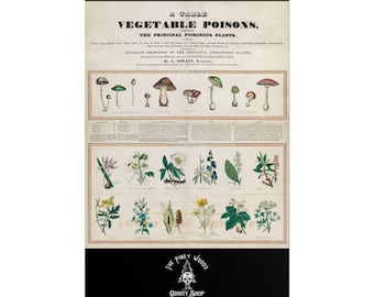 Vegetable Poisons Wall Art Print - Gothic Botanical Illustration for Witchy, Cottagecore, Dark Academia, or Macabre Home Decor, poster