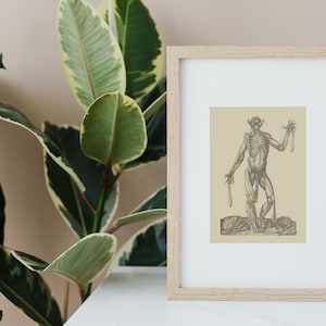 Gothic Wall Art, Death, Anatomy, Art, Macabre Art