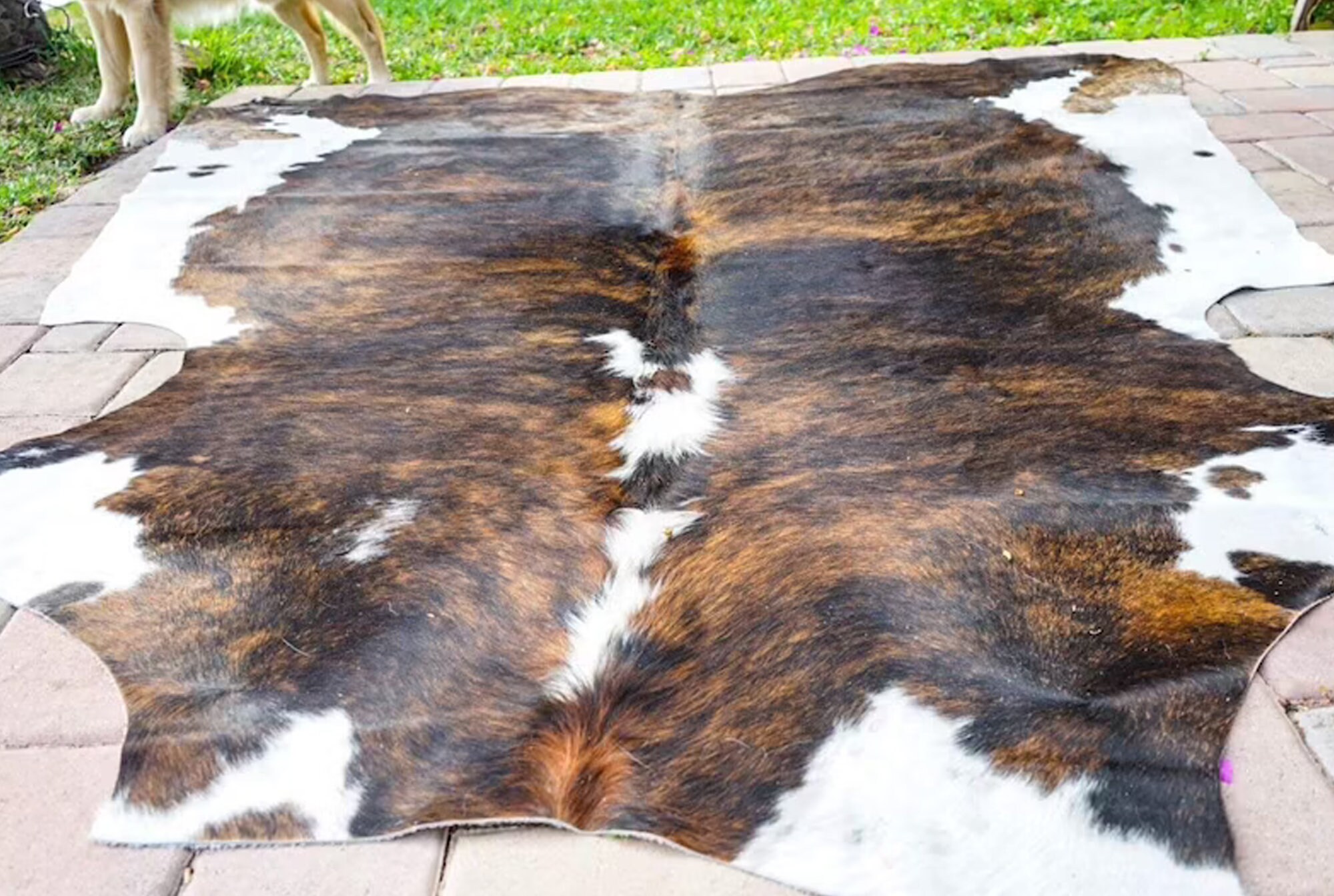 Increíble alfombra de cuero de vaca tricolor pequeña alfombra Etsy