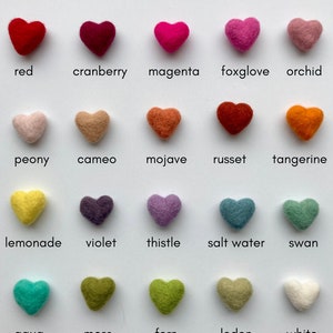 Puede incluir: Veinte corazones de fieltro en varios colores, incluyendo rojo, rosa, morado, verde, amarillo y blanco. Cada coraz&oacute;n est&aacute; etiquetado con un nombre de color.