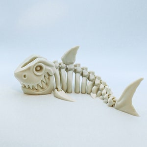 Shark Skeleton