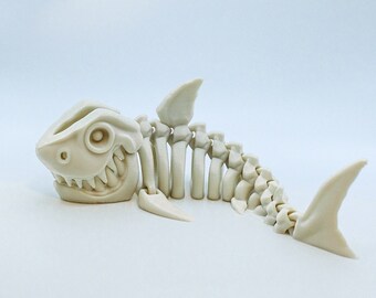 Shark Skeleton