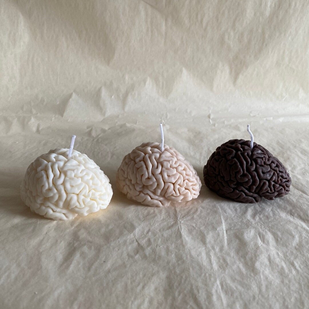 Brain Candle I Brain Candle I Anatomical I Body I Organ I Body Candle I