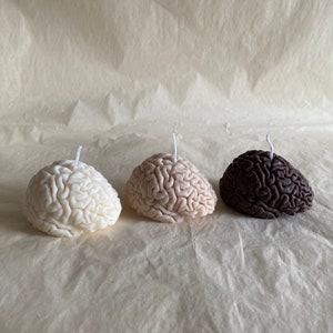 Brain Candle I Brain Candle I Anatomical I Body I Organ I Body Candle I Medical I Candle I Handmade I Vegan I Gift I Medical Decoration I
