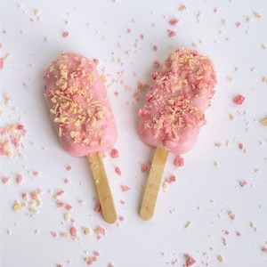 Strawberry Short Cake Popsicle Wax melt, Summer Melts, Ice Cream Melts, Sweet Tart Melts, Realistic Food Melts, Strong Scent, Summer Gifts