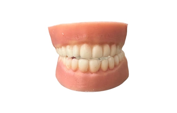 Realistic Fake Teeth | Creepy Halloween | Funny Horror-Themed | Unique Spooky Gift