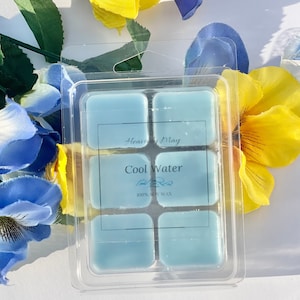 Cool water cologne, Masculine wax melts, Manly wax melts, Mens strong wax melt, Wax cube, Signature scents, Designer scented wax melts,