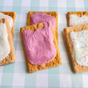 Pop Tart Inspired Wax Melts, Breakfast Melts, Fake Food Tart Aroma, Fun Party Favors