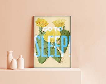 Go to sleep! | Bethenny Frankel | Quote | Real Housewives New York RHONY | Physical Poster Print | HW06.3
