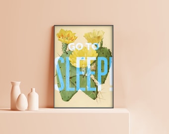 Go to sleep! | Bethenny Frankel | Quote | Real Housewives New York RHONY | Physical Poster Print | HW06.3