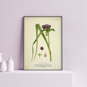 Le unghie di Scheana / Scientificamente impossibile / Citazione / Regole di Vanderpump / Scandoval / Stampa poster fisico botanico / Scandoval / VP02.2