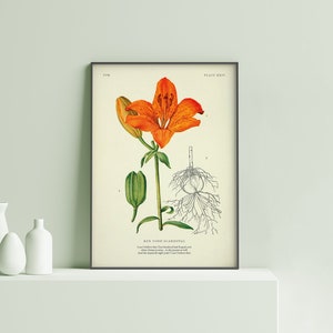 Can&#39;t believe that Tom Sandoval | Ken Todd | Quote | Vanderpump Rules | Physical poster print vintage botanical | gift | Scandoval | VP02.1