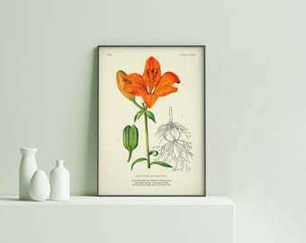 Can&#39;t believe that Tom Sandoval | Ken Todd | Quote | Vanderpump Rules | Physical poster print vintage botanical | gift | Scandoval | VP02.1