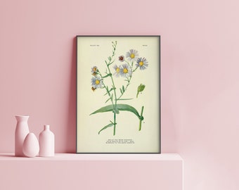 Running to the bank, sweetie | Nene Leakes | Quote | Real Housewives Atlanta RHOA | Physical Poster Print | HW09.4