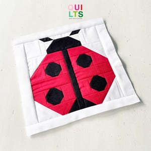 May include: A square quilt block with a ladybird design. The ladybird has a red body with black spots and a black head. The block is framed in white, with the text "QUILTS AND NICE STUFF" in the upper right corner.