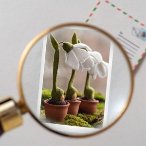 Puede incluir: Tres flores de campanilla de invierno de fieltro blanco en macetas marrones con tallos y hojas de fieltro verde. Las macetas están sobre un lecho de musgo verde.