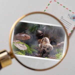 May include: A close-up of a photograph showing a small, brown, felt gnome with a white hat standing in a woodland setting. The gnome is holding a stick in its hand. The background of the photo shows a variety of brown mushrooms and green foliage.