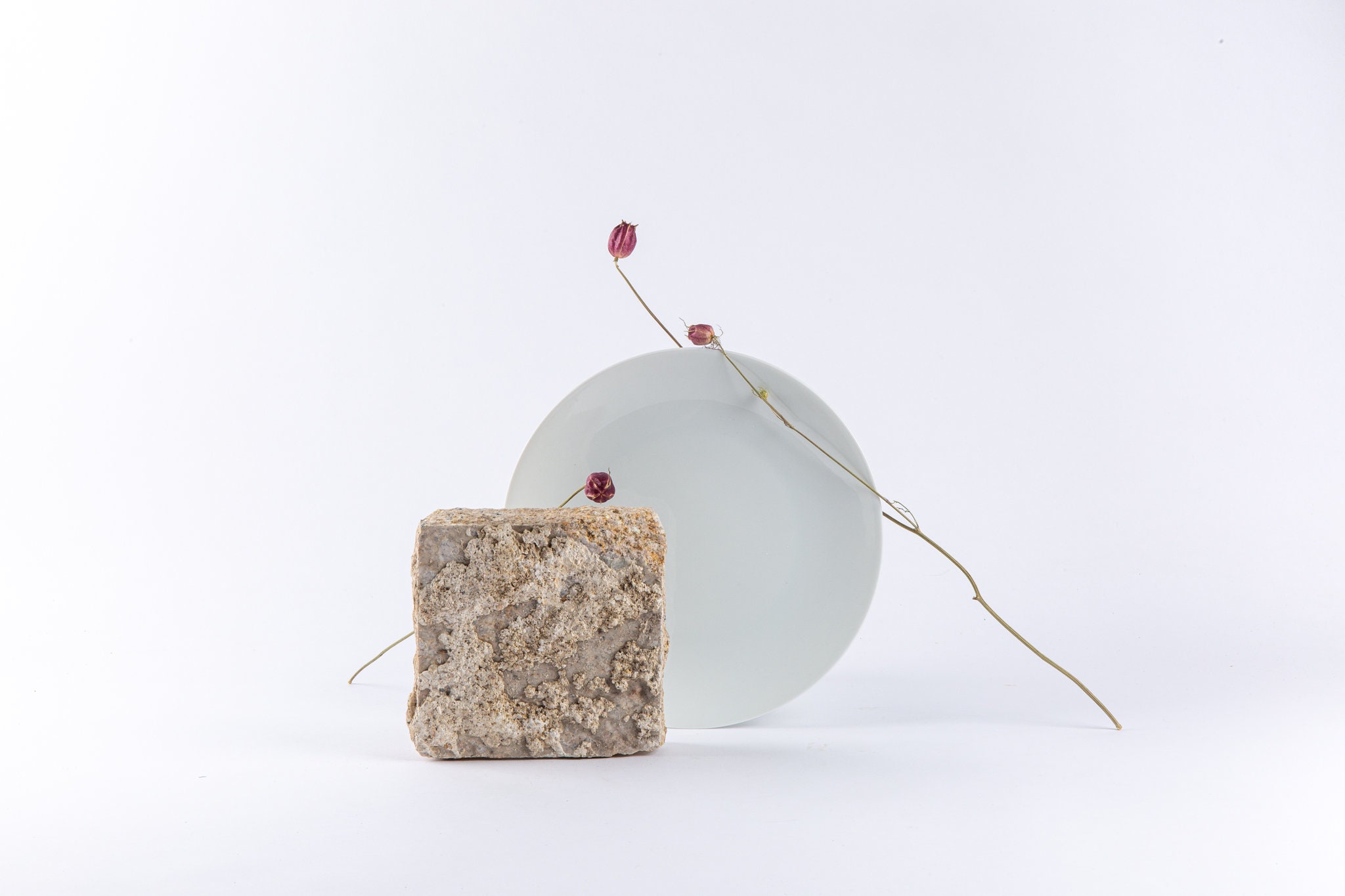 Les Assiettes Blanches en Porcelaine de Limoges