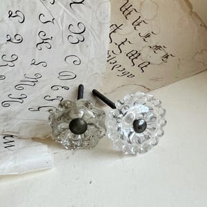 Peut inclure: Deux boutons de meuble en verre transparent avec un motif floral et des tiges en métal foncé. Les boutons sont posés sur un fond de papier vieilli avec une écriture manuscrite.