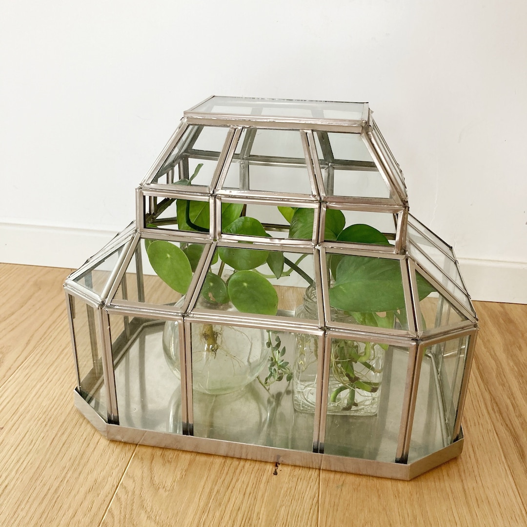 Tabletop Greenhouse. Table Greenhouse for Ornamental Plants. Home Decor