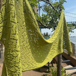 Puede incluir: Un chal tejido de color verde chartreuse con un delicado diseño calado está drapeado sobre una rama de árbol. La textura y el color del chal se destacan sobre un fondo de puente y agua.