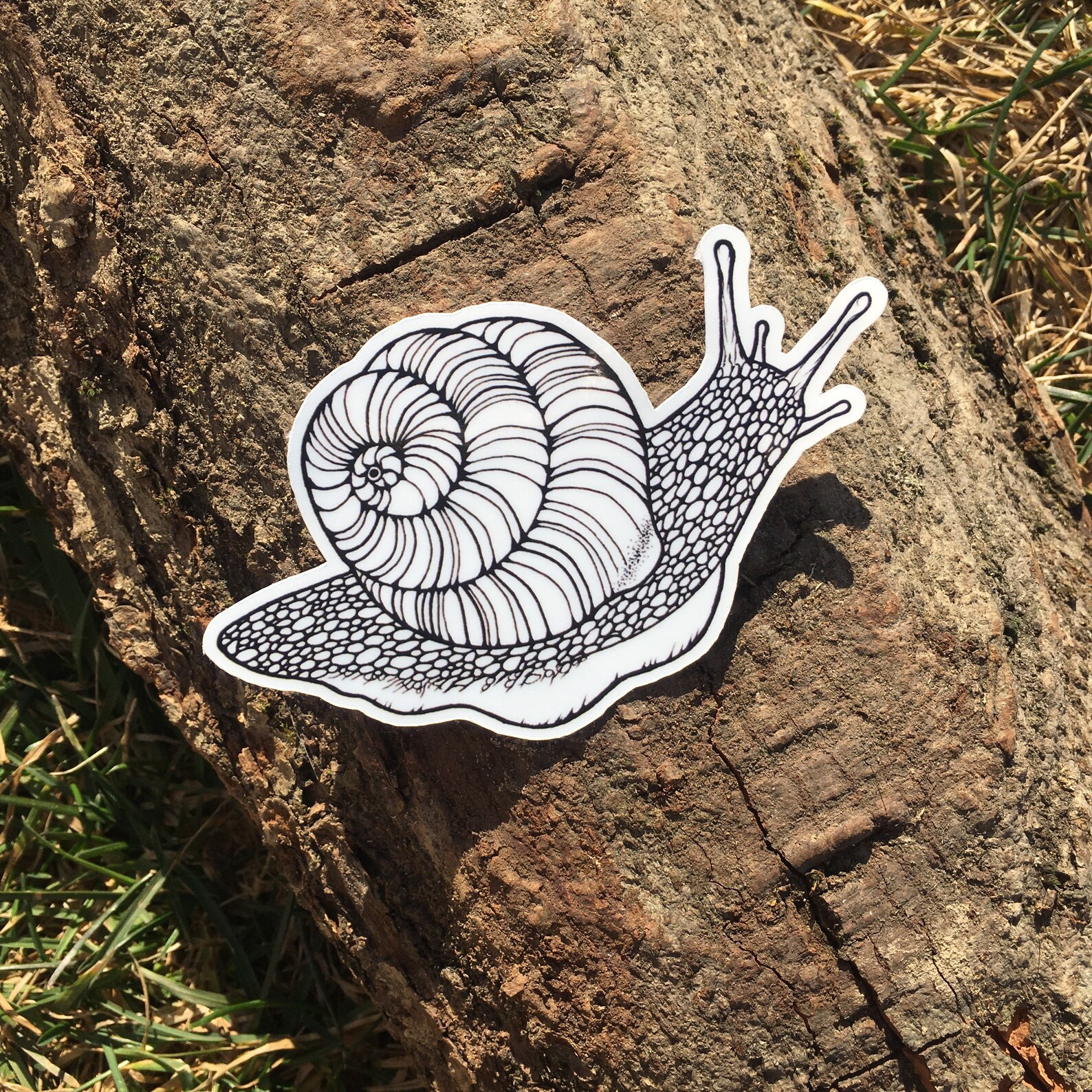 Snail Sticker DieCut Weatherproof Sticker Vinyl Etsy