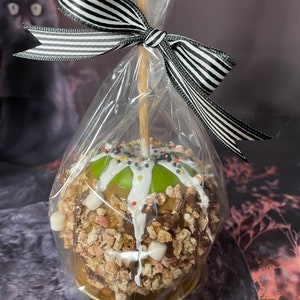 Fake Gourmet Caramel Apple: Nut & Chocolate Drizzle Photo Prop