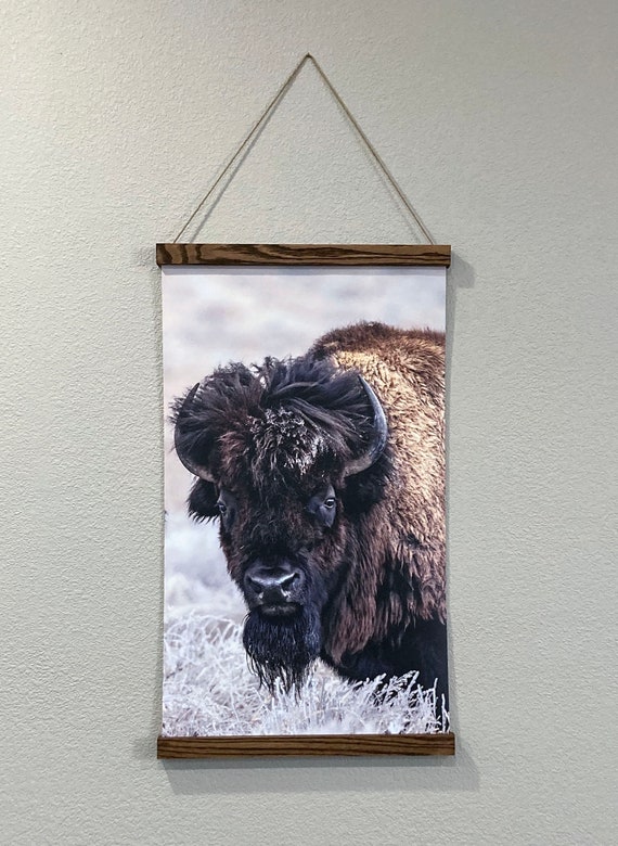 Hanging Buffalo Canvas Print Hanging Print Personalized Etsy