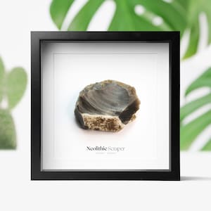Neolithic Scraper Tool Real Authentic Archaeology Ancient History Fossil Museum Quality Box Frame Wall Hanging Display Home Decor Gift