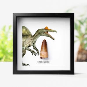 May include: A set of three ceramic mugs with a speckled, matte finish in cream, light grey, and dark grey. Each mug has a simple, minimalist design, ideal for coffee or tea.