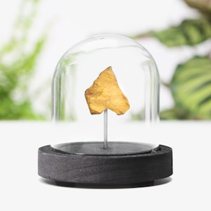 May include: A small, yellow-gold, irregularly shaped rock specimen displayed under a glass dome on a black wooden base.