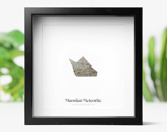 May include: A black framed picture with a white mat. The picture contains a small, gray, irregularly shaped meteorite. The text below the meteorite reads "Muonion Meteorite 4.5 Billion Years Old".