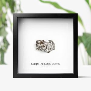 Campo Del Cielo Meteorite Real Authentic Space Meteorite Wall Hanging Display Home Decor birthday Gift Idea