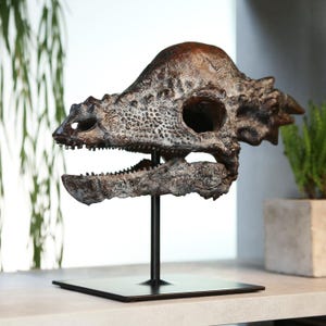 Pachycephalosaurus Dinosaur Hand Painted Premium Replica 3D Model Sculpture Art Jurassic Dinosaur Fossil Jurassic Gift Idea
