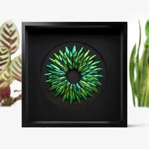 Puede incluir: Una obra de arte circular enmarcada que presenta un diseño de alas de escarabajo verde e iridiscente. Las alas están dispuestas en un patrón circular, creando una forma de flor.