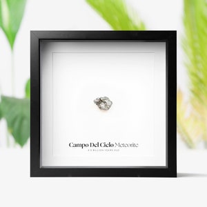 Campo Del Cielo Meteorite Fragment Real Authentic Space Meteorite Fragment Birthday Corporate Gift Idea