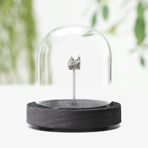 Campo Del Cielo Meteorite Real Authentic Space Meteor Fragment Glass Bell Jar Interior Design Birthday Corporate Gift Idea