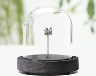 Campo Del Cielo Meteorite Fragment in Glass Bell Jar Display- Corporate Space gift