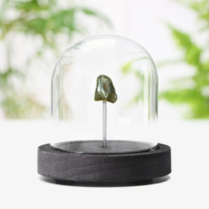 Sikhote-Alin Meteorite Real Authentic Space Meteor  Bell Jar Interior Design Home Decor Display Secret Santa Christmas Gift Idea